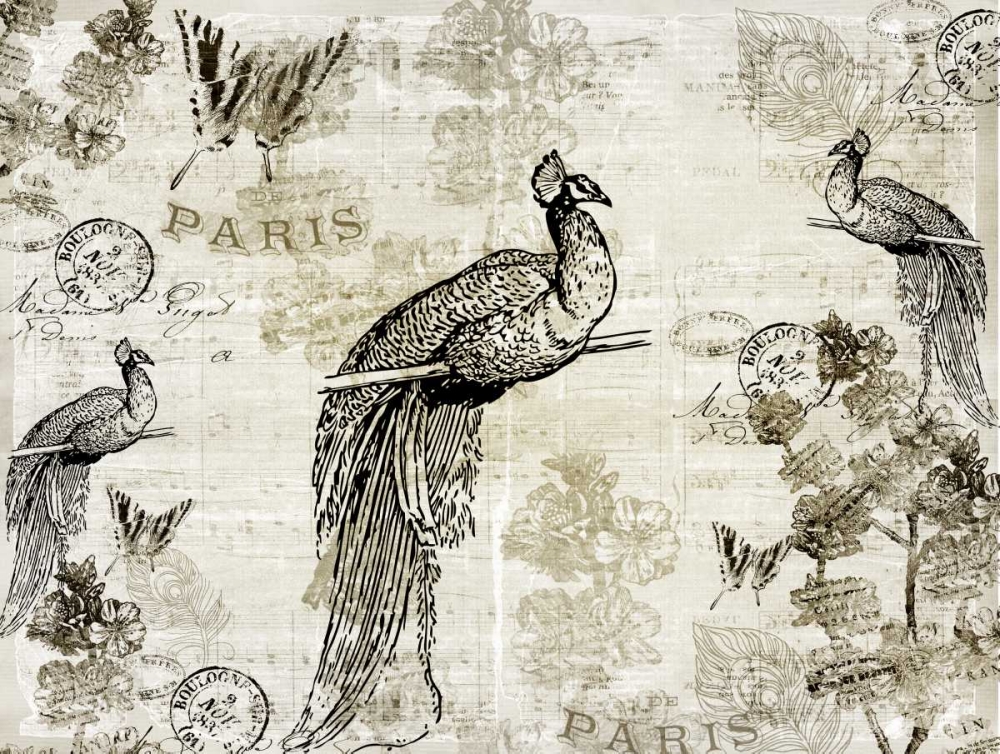 Music Notes Peacocks art print by Kimberly Allen for $57.95 CAD