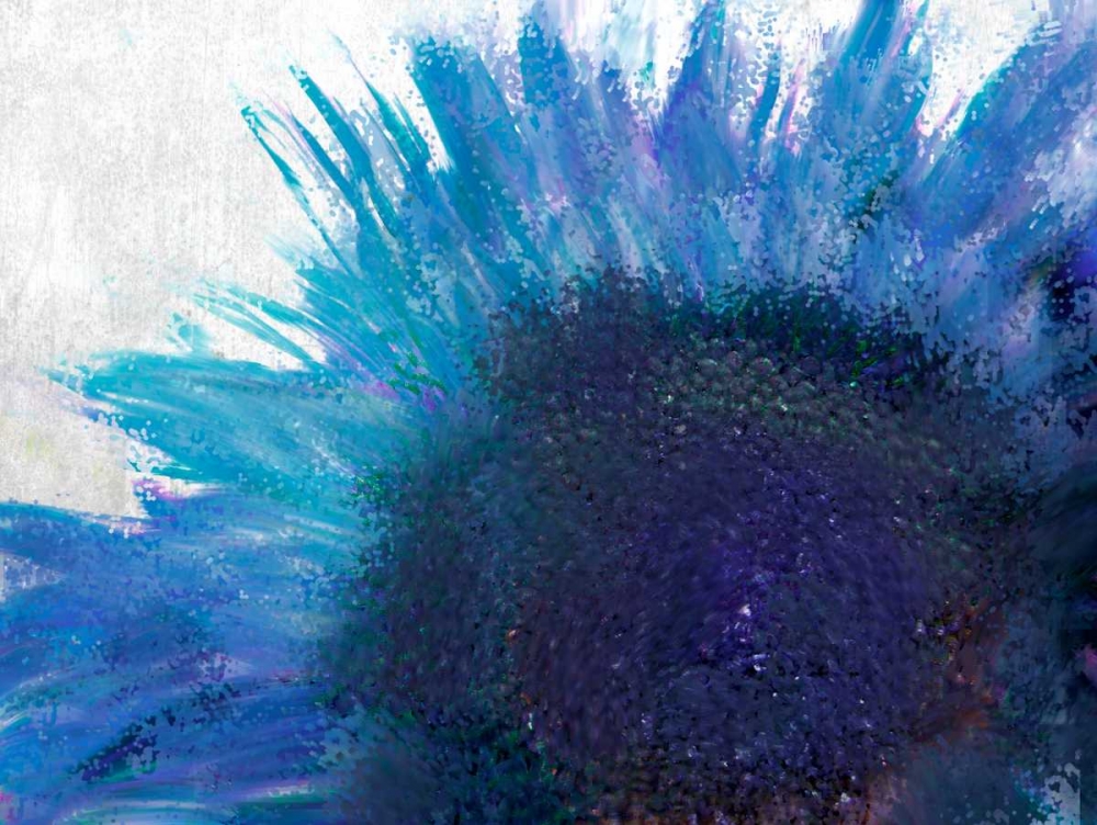 Blooming Sunflower art print by Kimberly Allen for $57.95 CAD