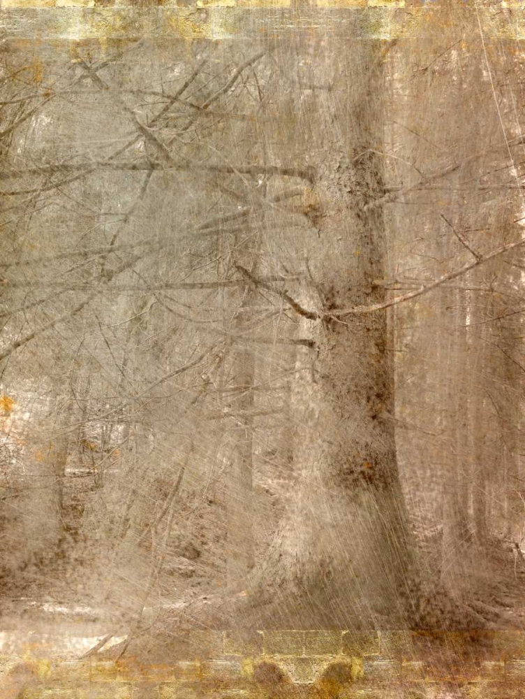 In the Forest art print by Kimberly Allen for $57.95 CAD