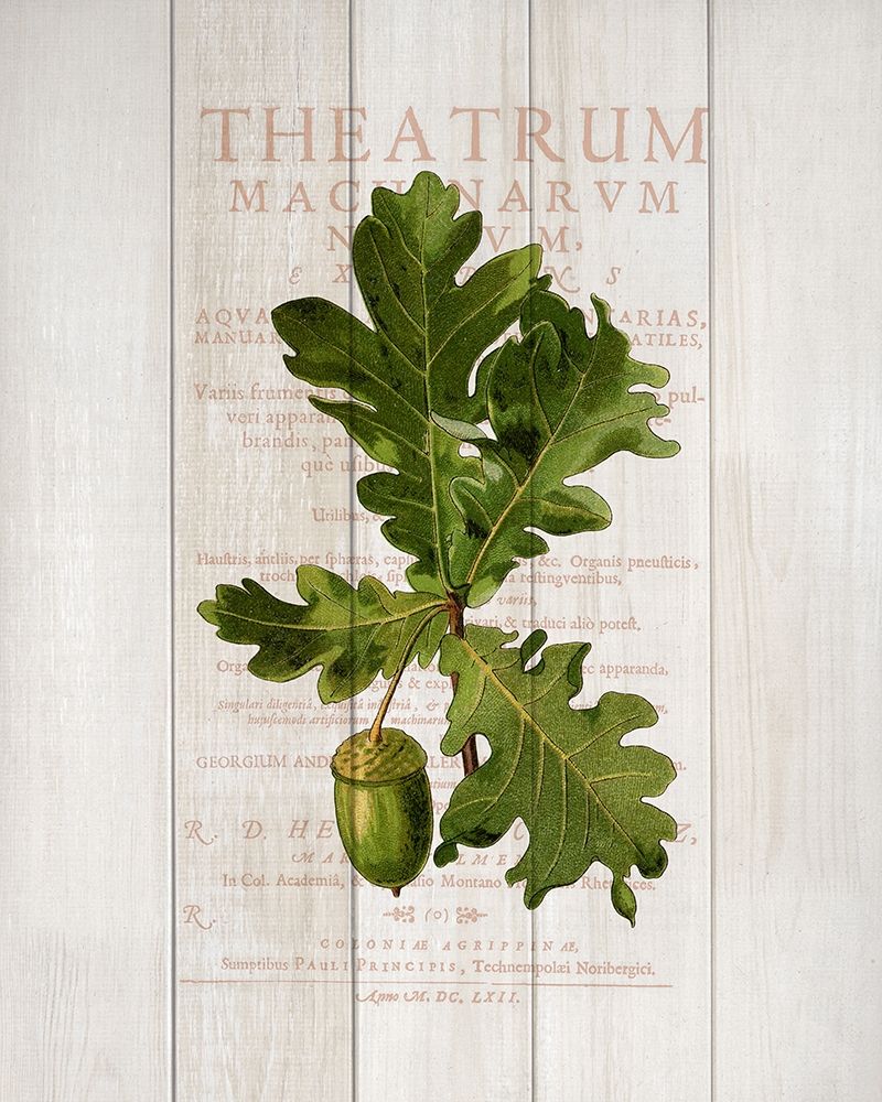 Fall Botanical 1 art print by Kimberly Allen for $57.95 CAD