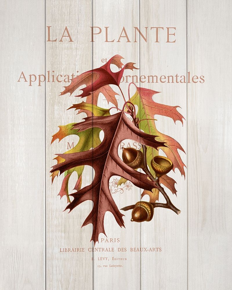 Fall Botanical 2 art print by Kimberly Allen for $57.95 CAD