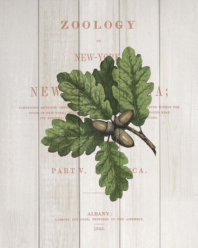 Fall Botanical 3 art print by Kimberly Allen for $57.95 CAD