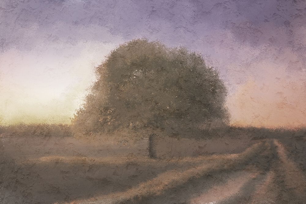 Fall Dusk art print by Kimberly Allen for $57.95 CAD