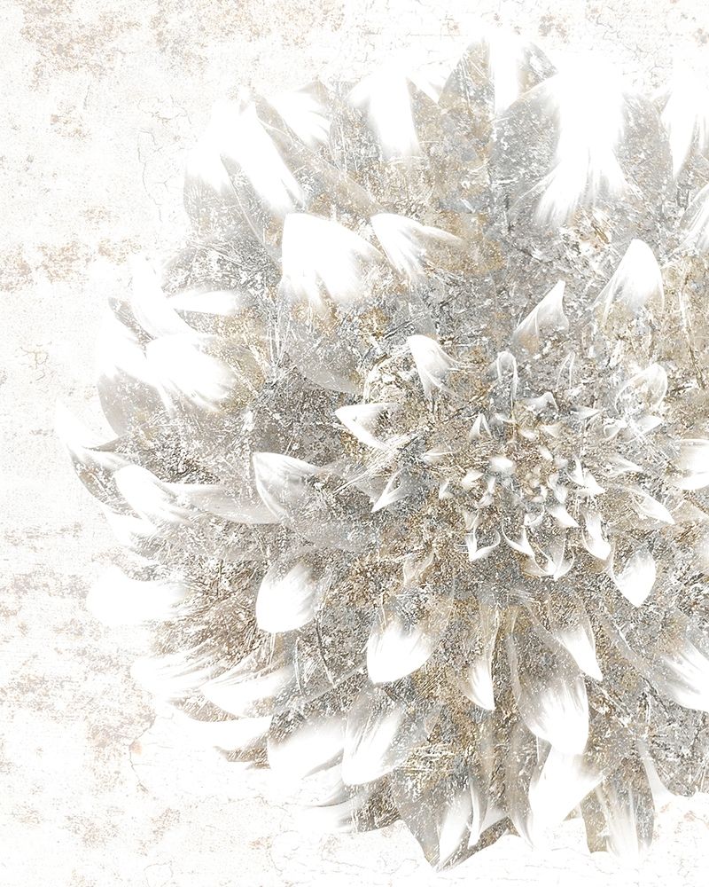 Silver Blooms 2 art print by Kimberly Allen for $57.95 CAD