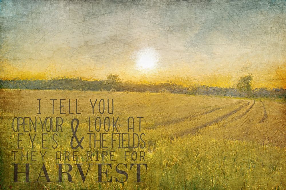Already to Harvest art print by Kimberly Allen for $57.95 CAD