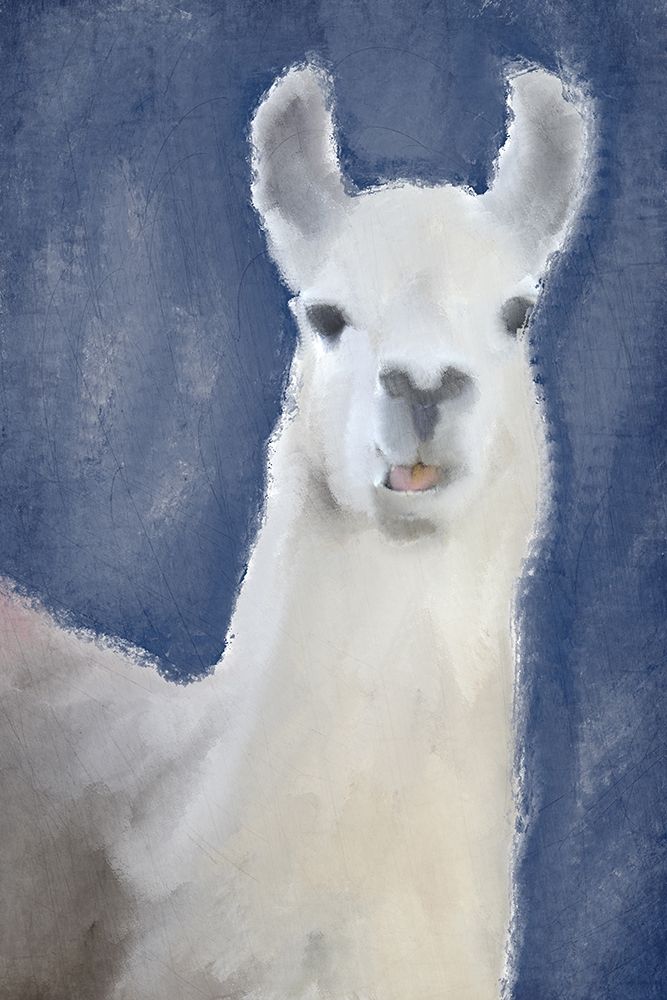 Llama on Navy art print by Kimberly Allen for $57.95 CAD