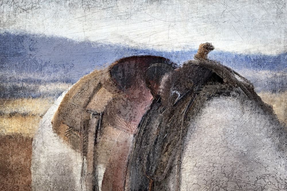 In The Saddle art print by Kimberly Allen for $57.95 CAD