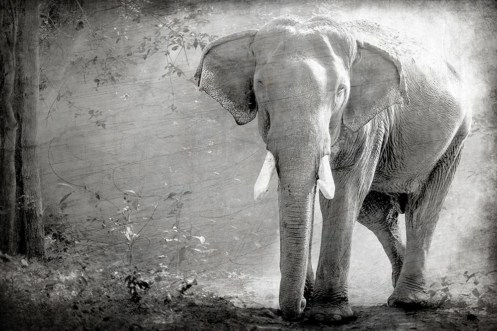 Olde Grey art print by Kimberly Allen for $57.95 CAD