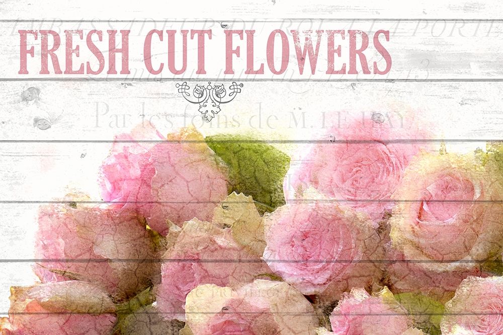 Fresh Cut Flowers art print by Kimberly Allen for $57.95 CAD