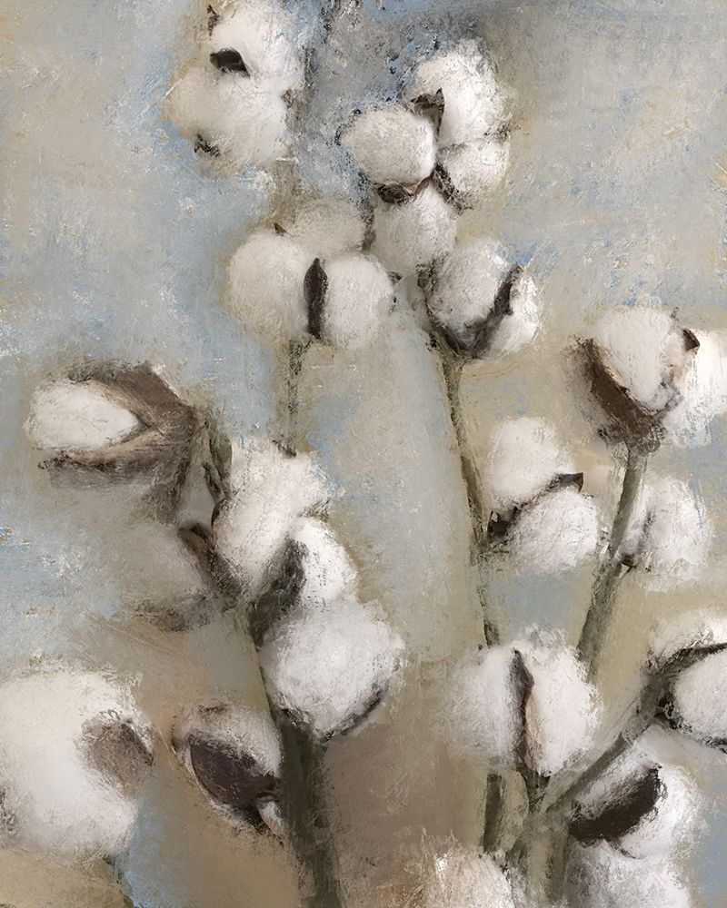 Sprays of Cotton 1 art print by Kimberly Allen for $57.95 CAD