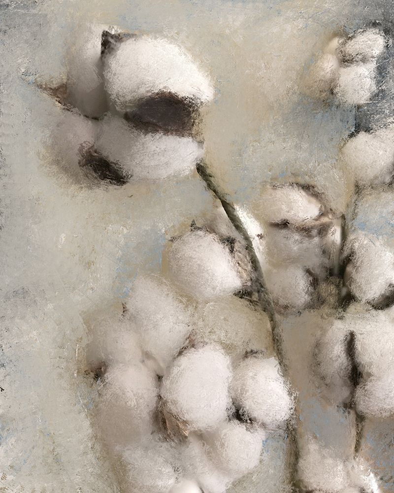 Sprays of Cotton 2 art print by Kimberly Allen for $57.95 CAD