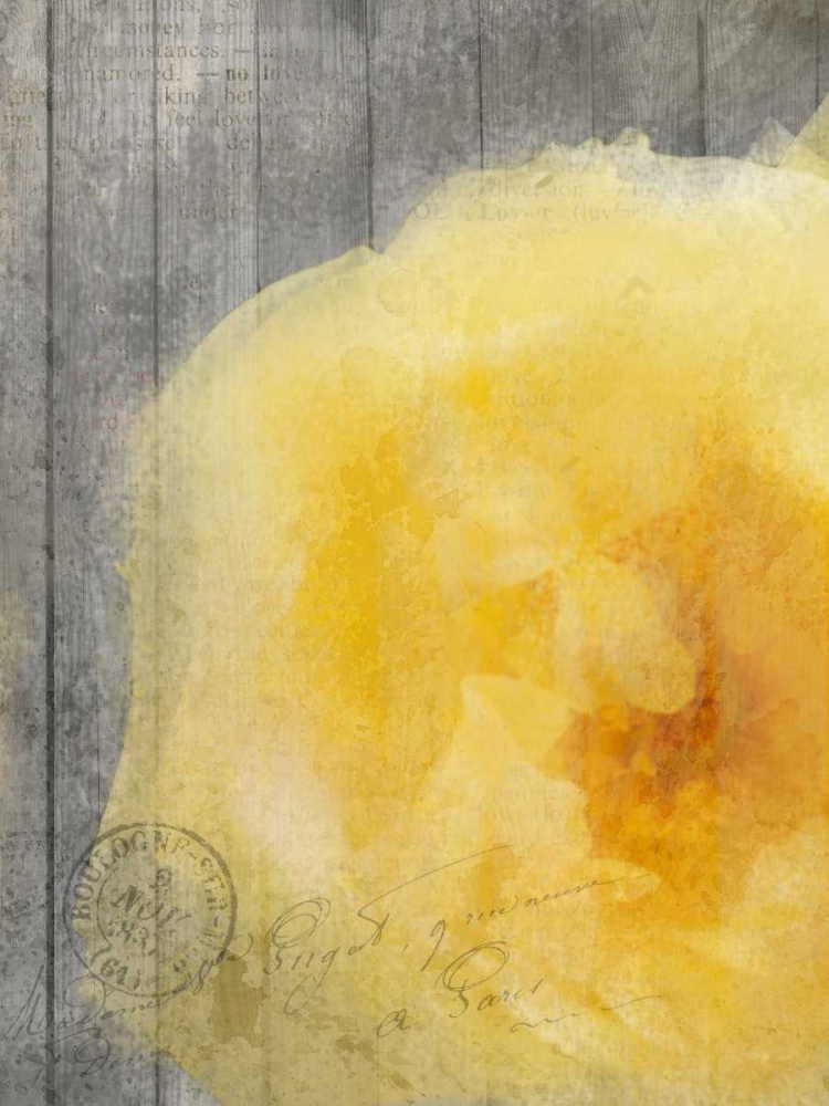 Yellow Bloom art print by Kimberly Allen for $57.95 CAD