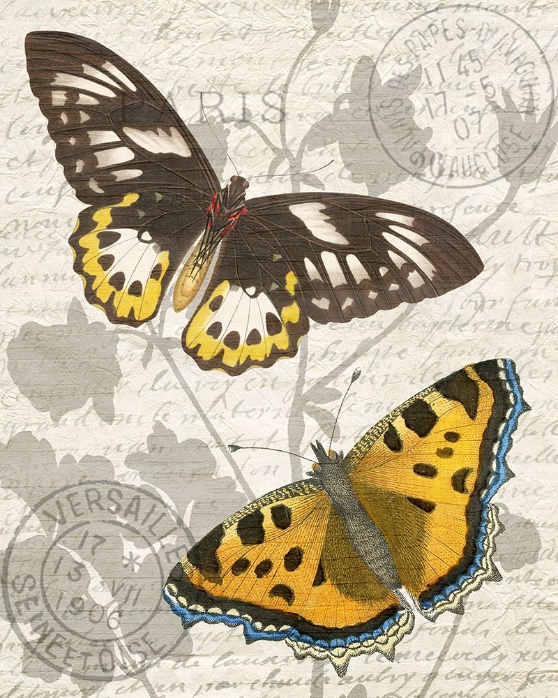 Butterfly Travel 1 art print by Kimberly Allen for $57.95 CAD