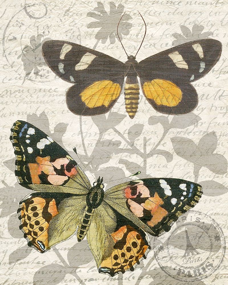 Butterfly Travel 2 art print by Kimberly Allen for $57.95 CAD