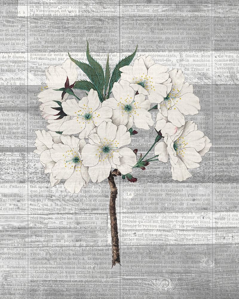 Cherry Blossom 2 art print by Kimberly Allen for $57.95 CAD