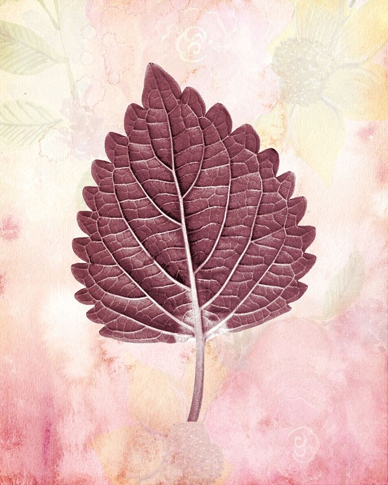 Burgundy Leaf 1 art print by Kimberly Allen for $57.95 CAD