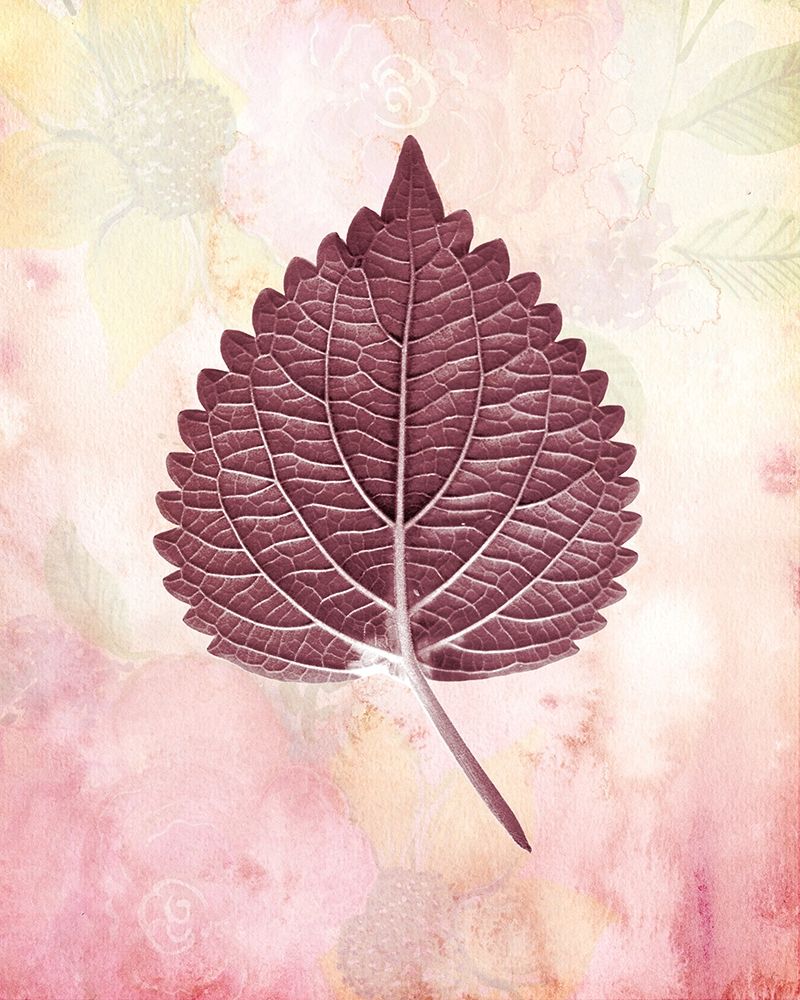 Burgundy Leaf 2 art print by Kimberly Allen for $57.95 CAD
