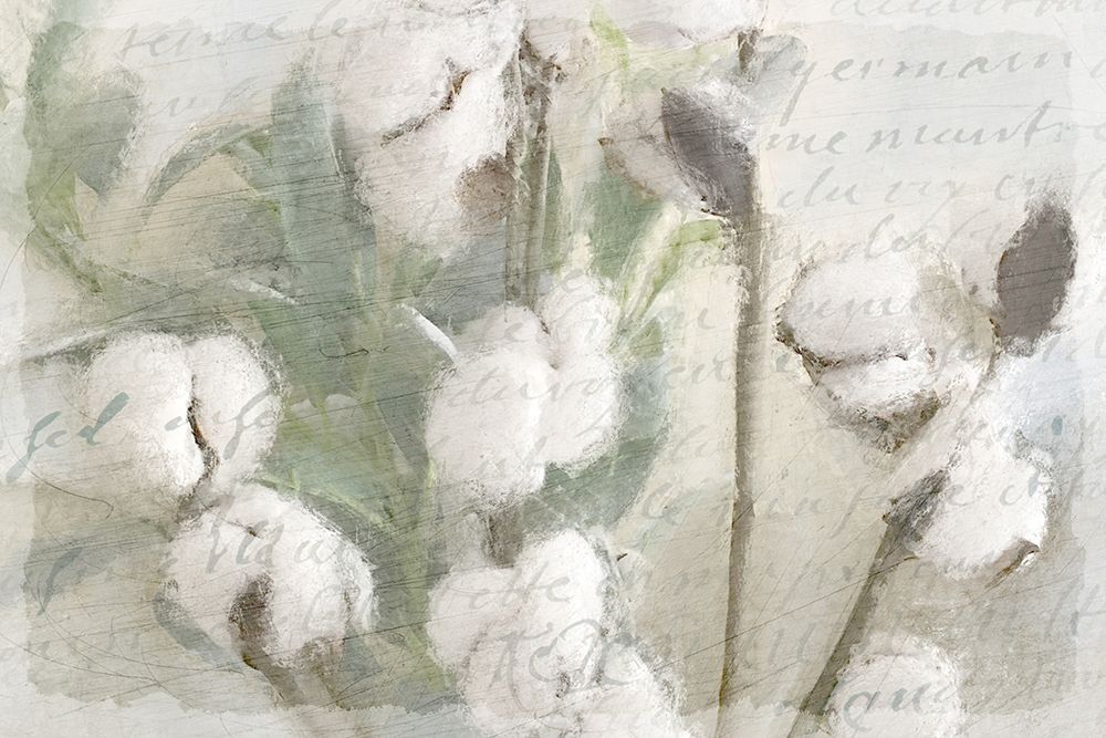 Cotton A art print by Kimberly Allen for $57.95 CAD