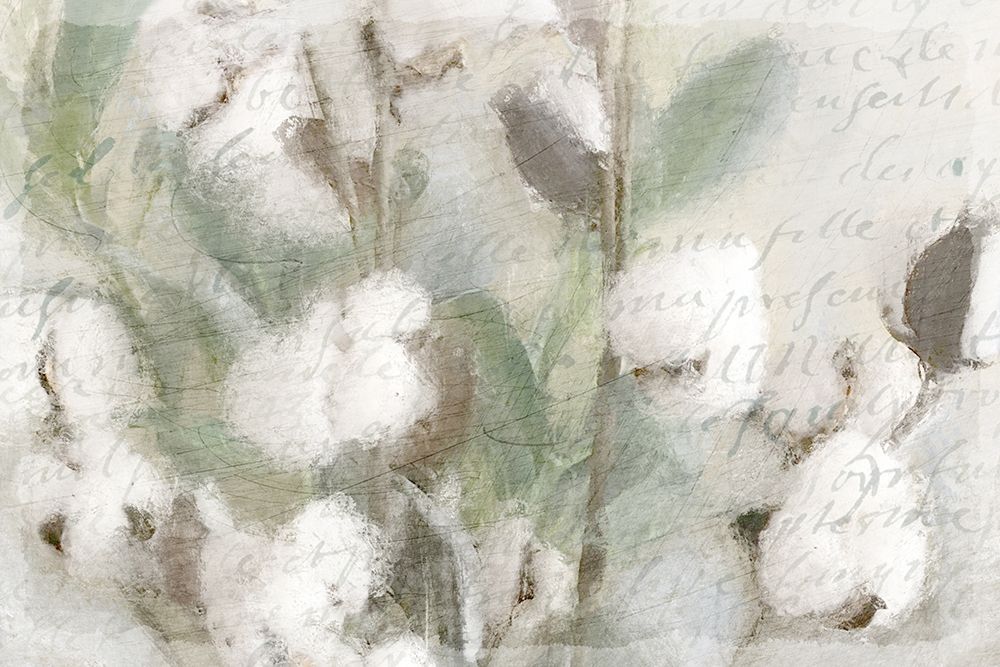 Cotton B art print by Kimberly Allen for $57.95 CAD
