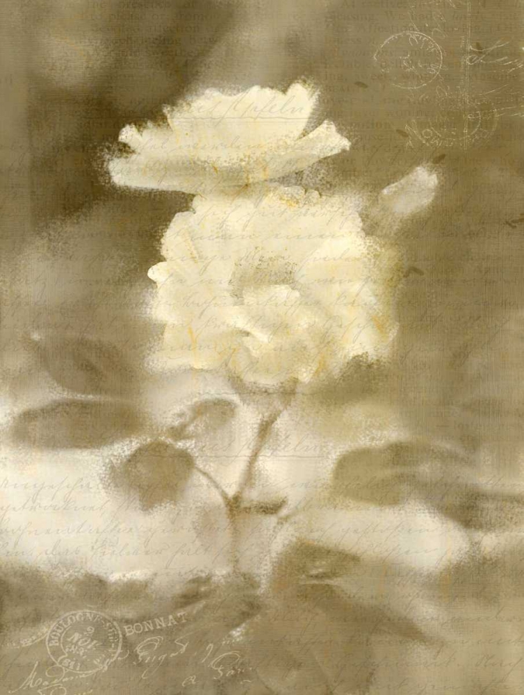 Early Blooming art print by Kimberly Allen for $57.95 CAD