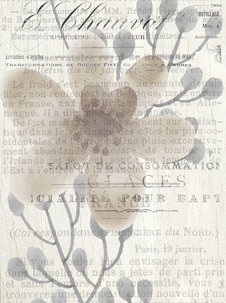 Vintage Floral Panel b art print by Kimberly Allen for $57.95 CAD