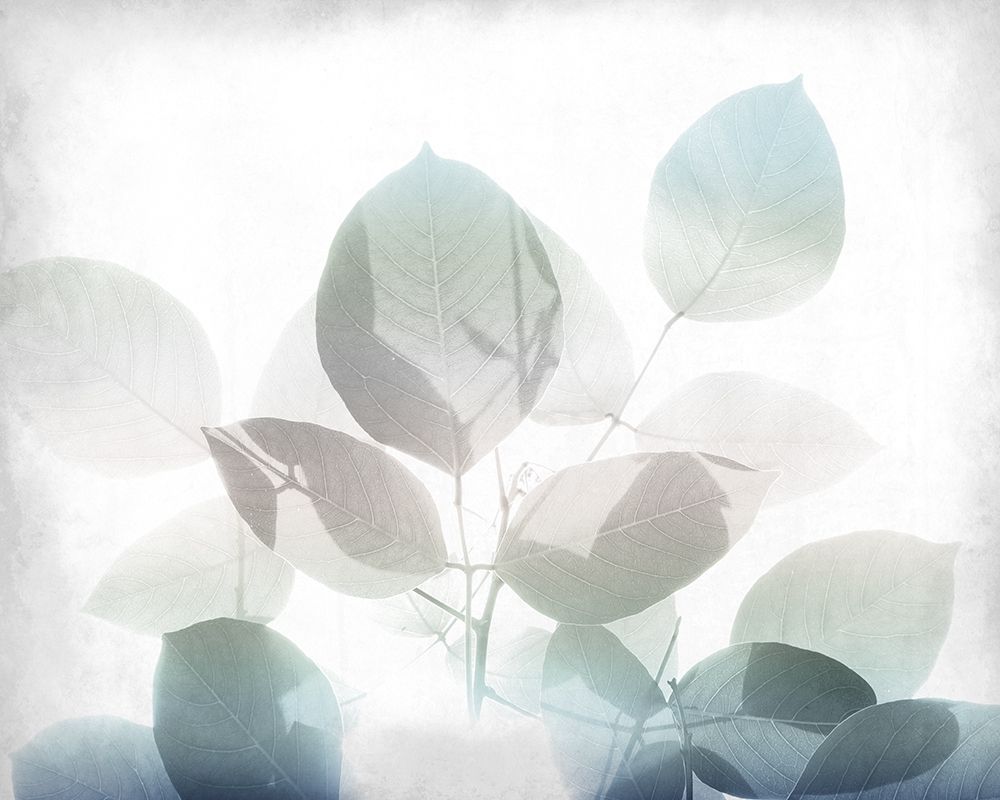 Antiqued Leaves 2 v2 art print by Kimberly Allen for $57.95 CAD