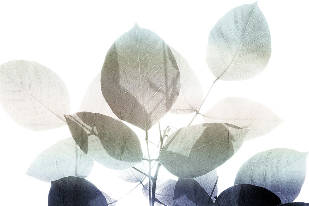 Midnight Leaves 1 v2 art print by Kimberly Allen for $57.95 CAD