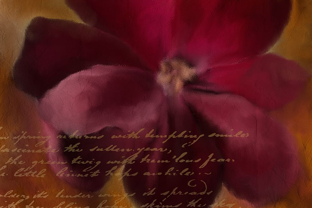 Blooming Spice art print by Kimberly Allen for $57.95 CAD