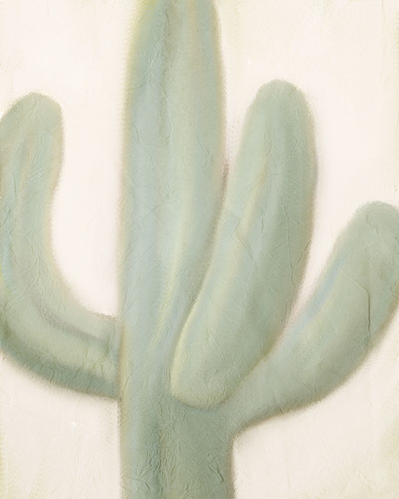 Sage Cactus 1 art print by Kimberly Allen for $57.95 CAD