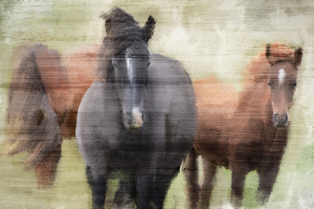 My Three art print by Kimberly Allen for $57.95 CAD