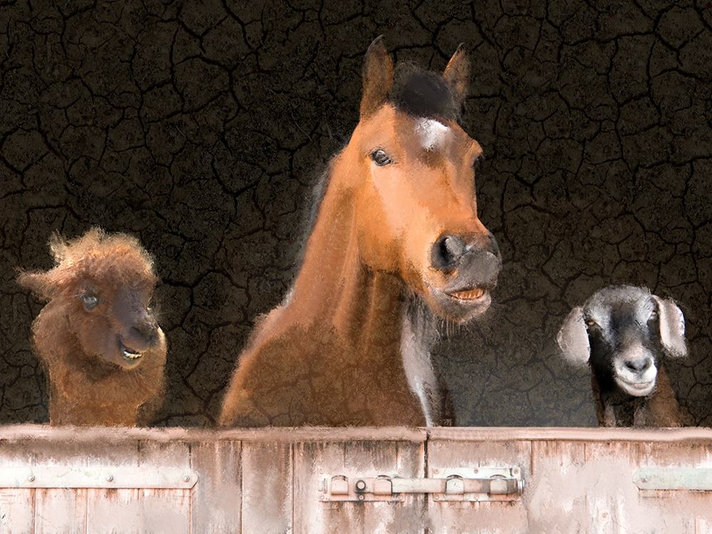 Smiles from the Barn art print by Kimberly Allen for $57.95 CAD