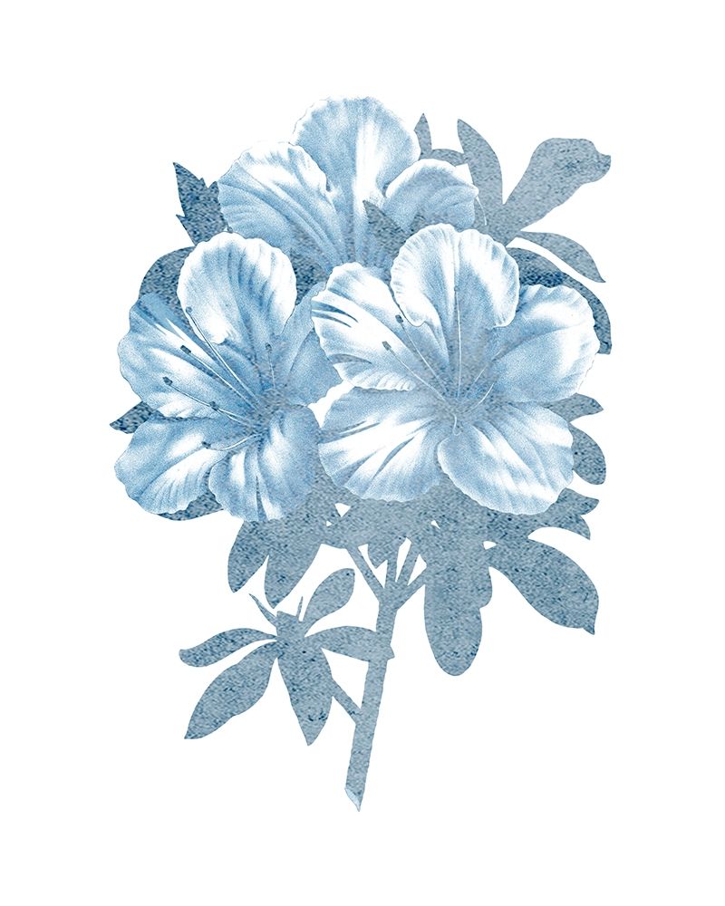 Azalea Blue 1 art print by Kimberly Allen for $57.95 CAD
