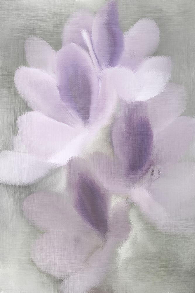 Silver Orchid art print by Kimberly Allen for $57.95 CAD