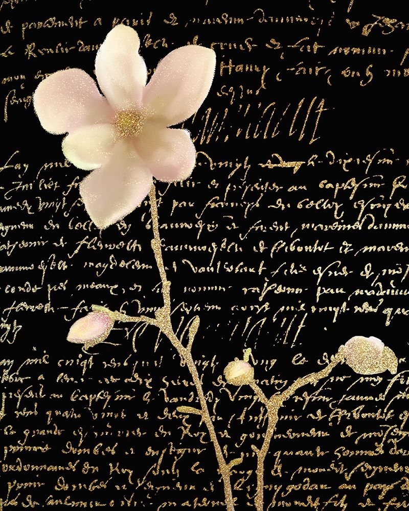 Magnolia Gold 1 art print by Kimberly Allen for $57.95 CAD