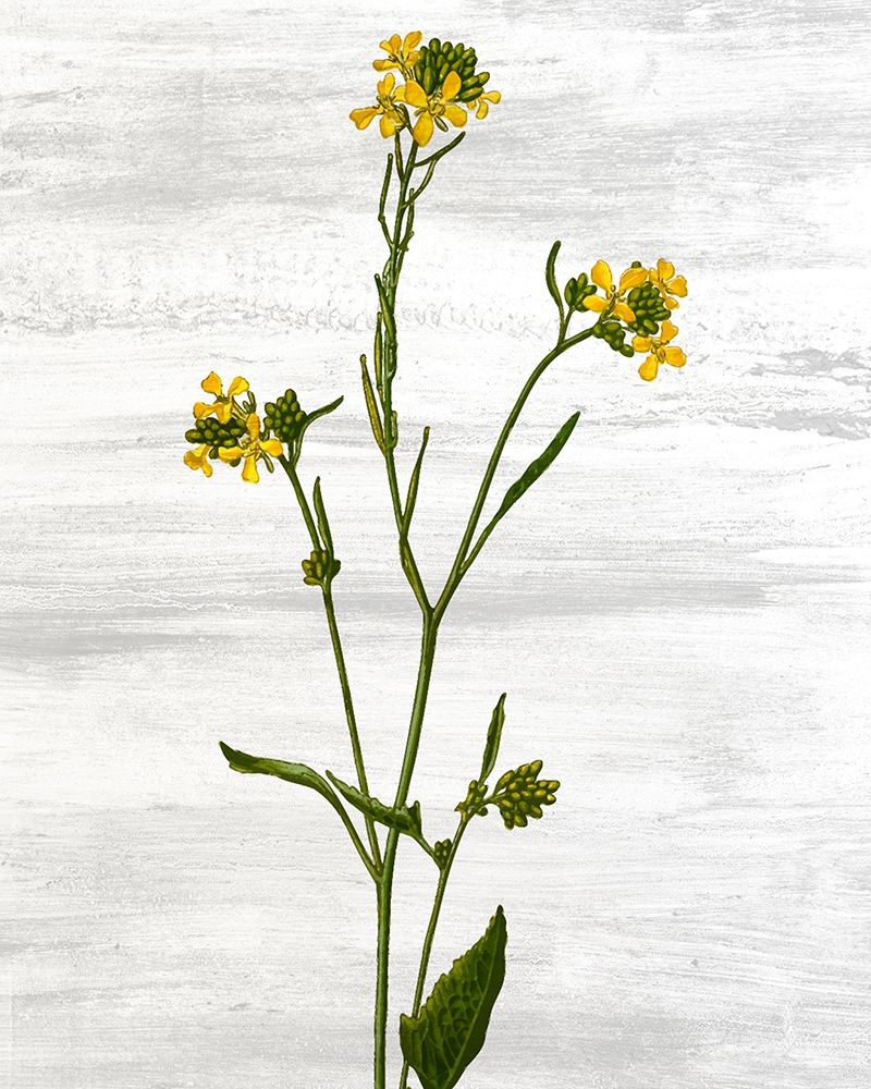 Wildflower Jar 11 art print by Kimberly Allen for $57.95 CAD