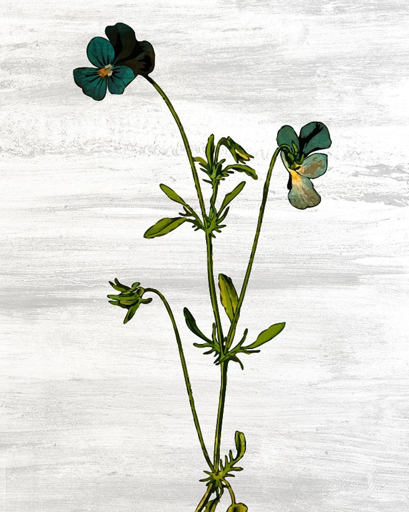 Wildflower Jar 12 art print by Kimberly Allen for $57.95 CAD