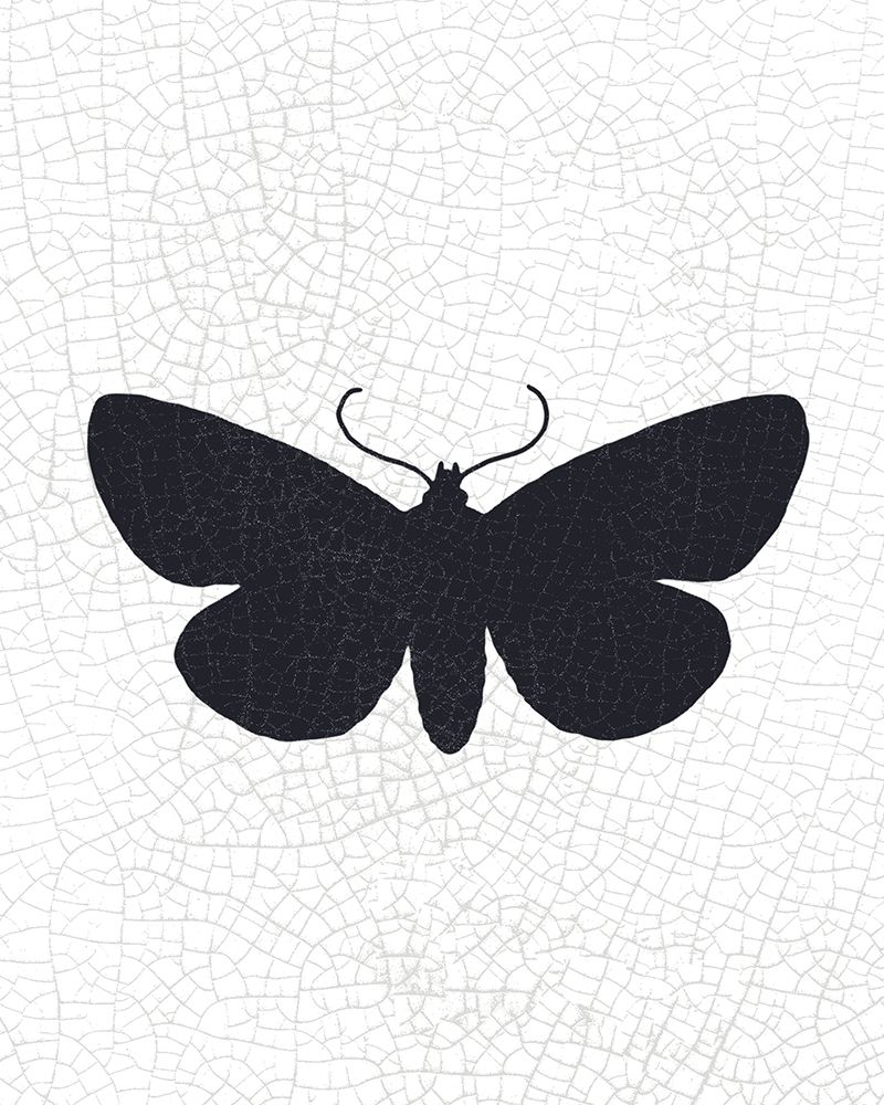 Crackle Wings 1 art print by Kimberly Allen for $57.95 CAD