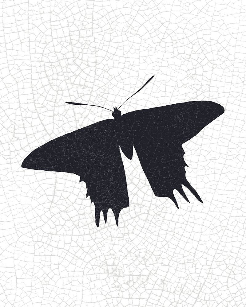 Crackle Wings 3 art print by Kimberly Allen for $57.95 CAD