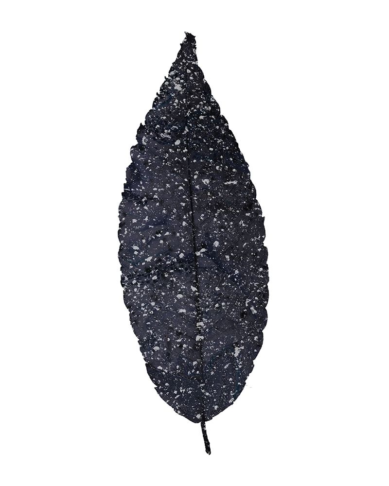Spotted Leaves 1 art print by Kimberly Allen for $57.95 CAD