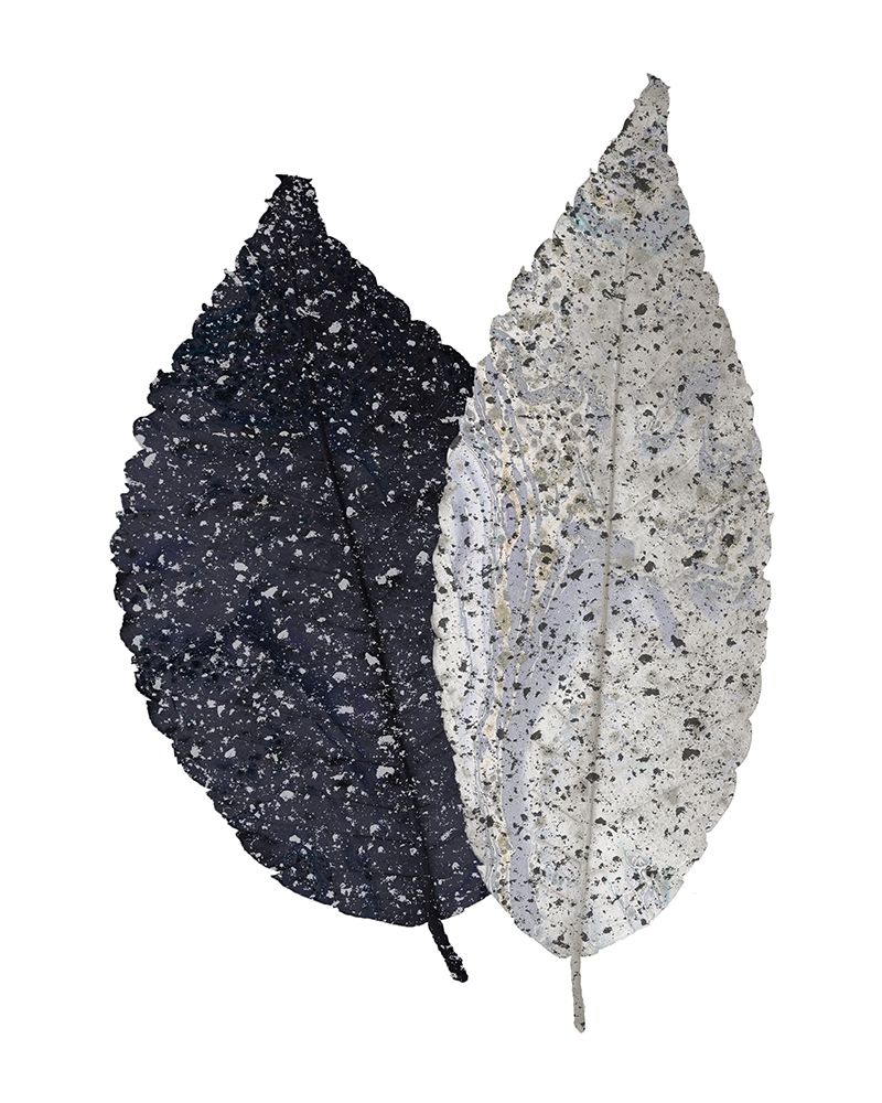Spotted Leaves 2 art print by Kimberly Allen for $57.95 CAD