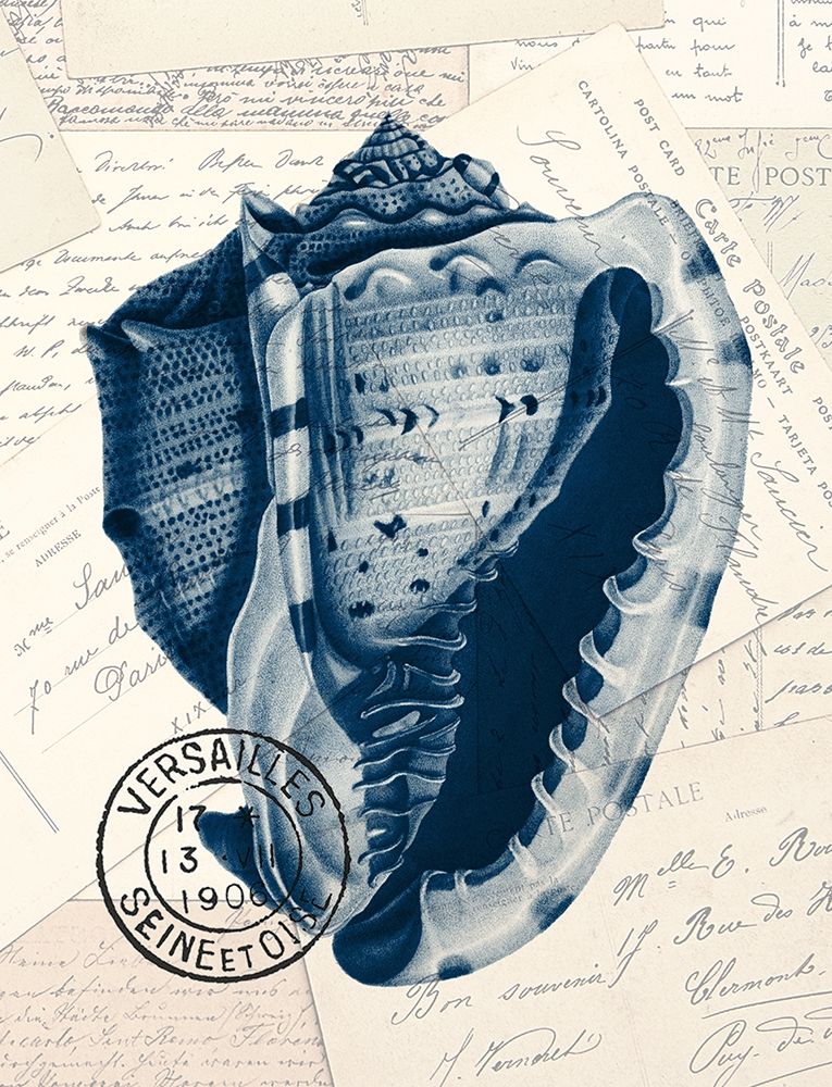 Shell Post 2 art print by Kimberly Allen for $57.95 CAD