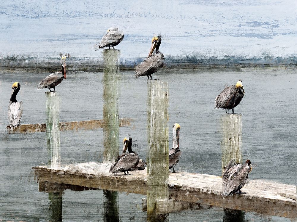 Perched art print by Kimberly Allen for $57.95 CAD