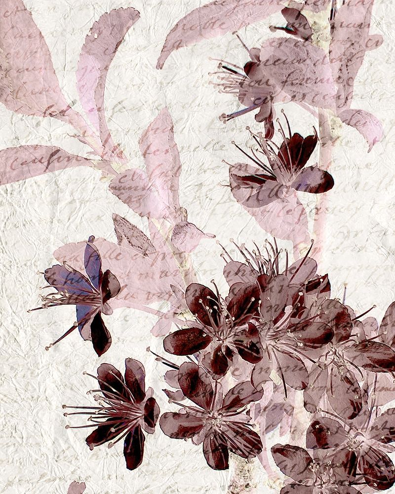 Cherry Blossom Plum 1 art print by Kimberly Allen for $57.95 CAD