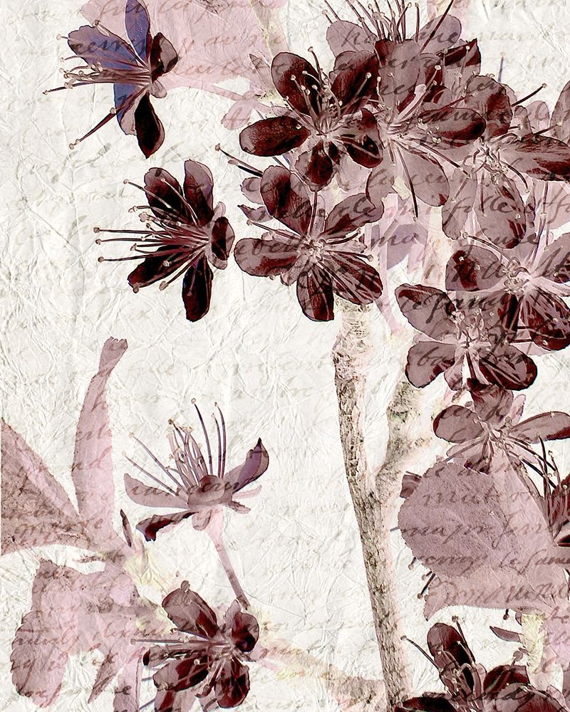 Cherry Blossom Plum 2 art print by Kimberly Allen for $57.95 CAD
