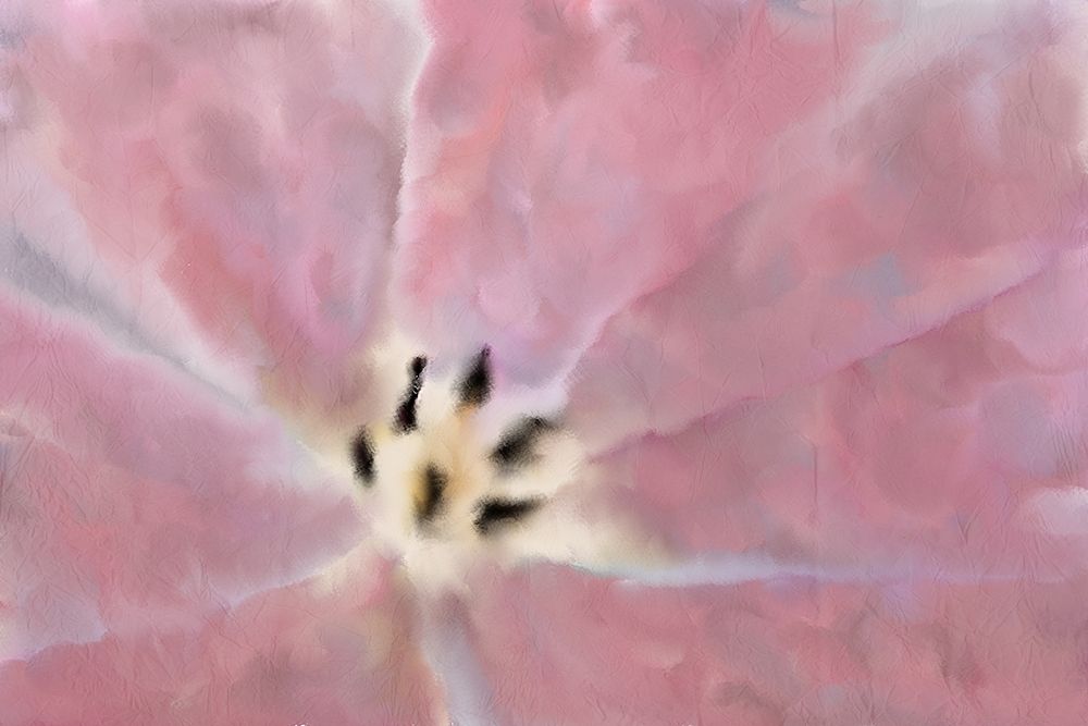 Tulip Center art print by Kimberly Allen for $57.95 CAD