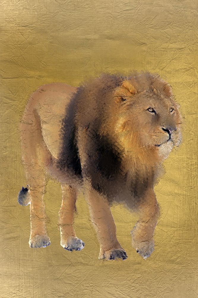 Lion Gold art print by Kimberly Allen for $57.95 CAD
