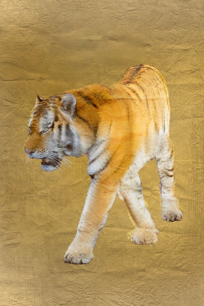 Tiger Gold v2 art print by Kimberly Allen for $57.95 CAD
