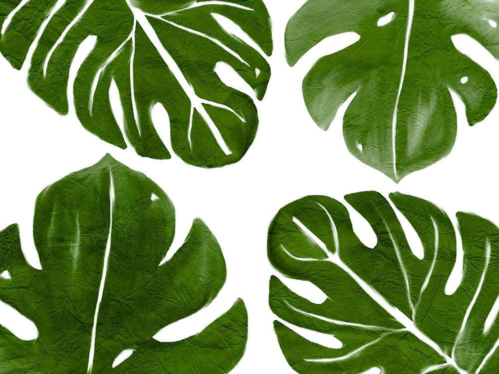 Tropic Green 2 art print by Kimberly Allen for $57.95 CAD