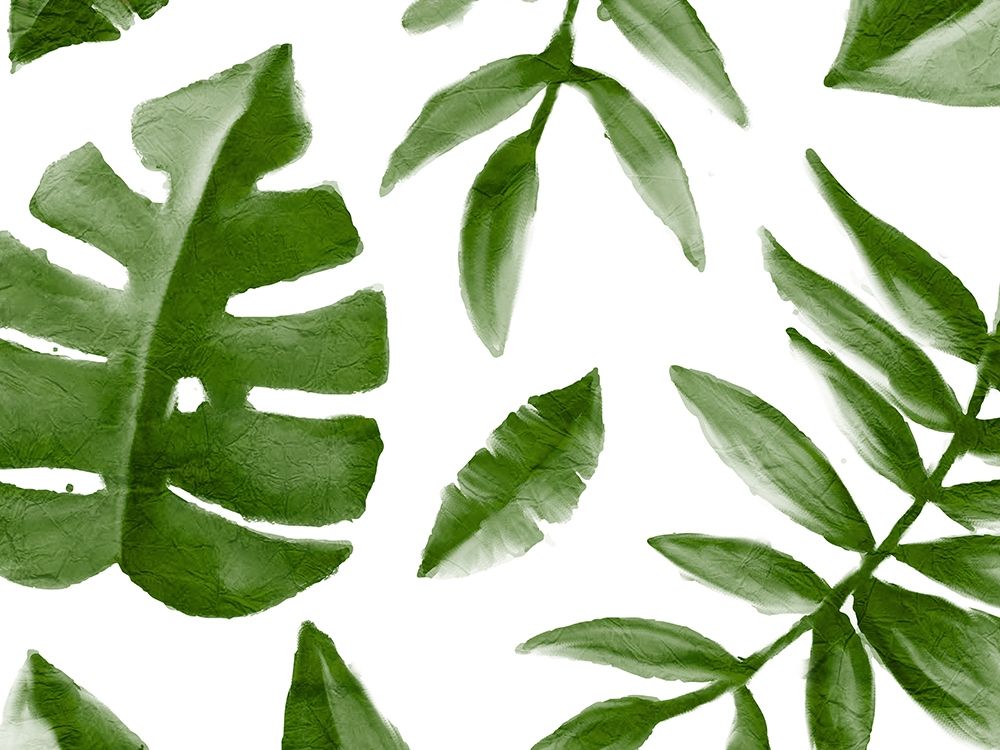 Tropic Green 1 art print by Kimberly Allen for $57.95 CAD