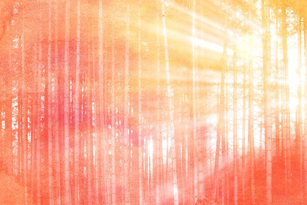 Forest Brights art print by Kimberly Allen for $57.95 CAD
